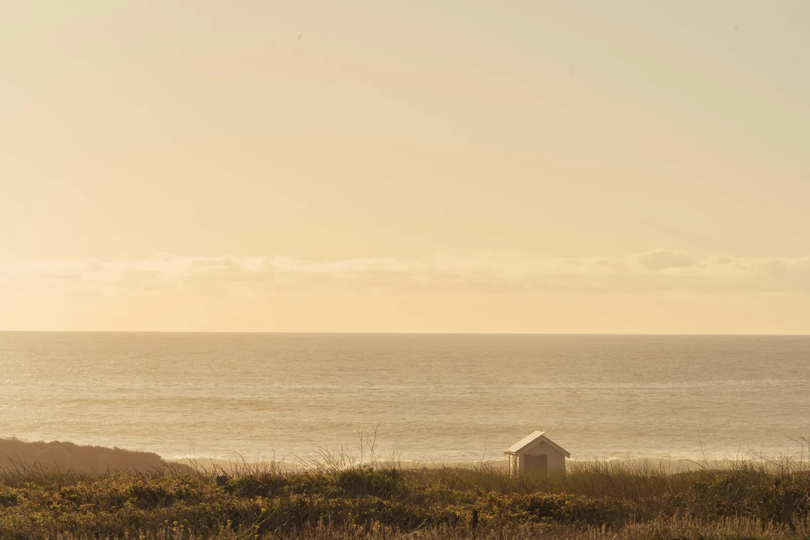 Katelyne Lucas photography